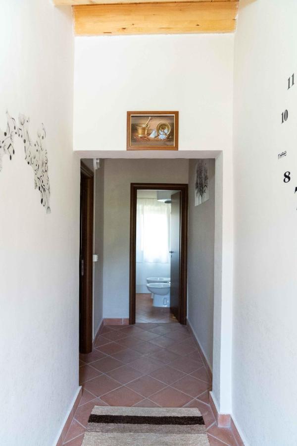 B&B Aria Antica Verbicaro Εξωτερικό φωτογραφία