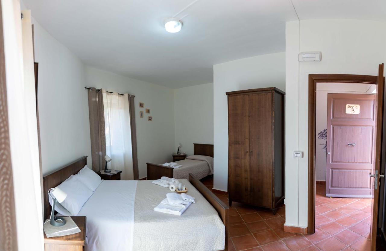 B&B Aria Antica Verbicaro Εξωτερικό φωτογραφία